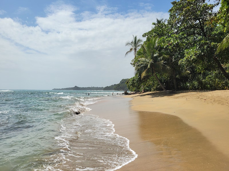 We are electrical beings