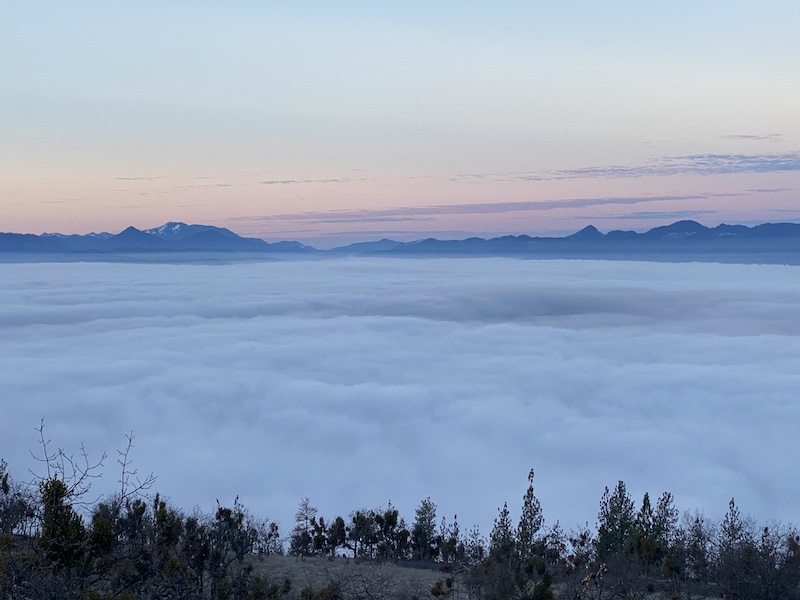 Fuzzy Bear Fiesta - honer and courage